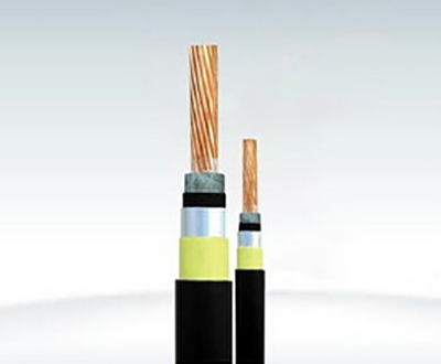 耐火电缆NH-VV-NH-VV22.jpg